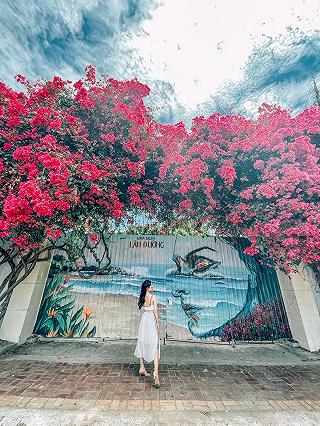 Vũng Tàu Trip🌊 - ảnh 2 vung tau trip🌊 - anh 2