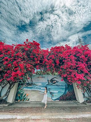 Vũng Tàu Trip🌊 - ảnh 3 vung tau trip🌊 - anh 3