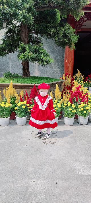 Việt Nam Quốc Tự - ảnh 2 viet nam quoc tu - anh 2