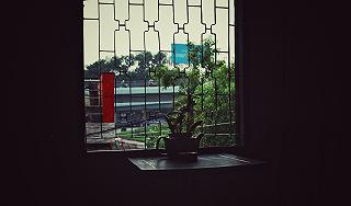 - ảnh 4 - anh 4