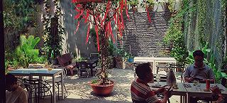 - ảnh 2 - anh 2