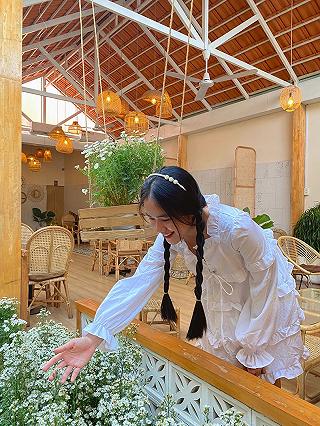 Khóm Coffee 🌸 Vườn Cúc Hoạ Mi - ảnh 4 khom coffee 🌸 vuon cuc hoa mi - anh 4