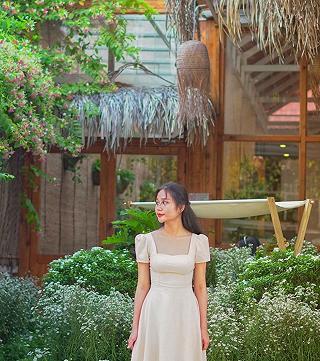Khóm Coffee 🌸 Vườn Cúc Hoạ Mi - ảnh 2 khom coffee 🌸 vuon cuc hoa mi - anh 2