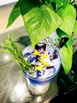 Trà lam hồ điệp 🦋 - ảnh 1 tra lam ho diep 🦋 - anh 1