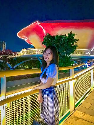 KHU ĐÔ THỊ SALA TRIỆU VIEW - ảnh 3 khu do thi sala trieu view - anh 3