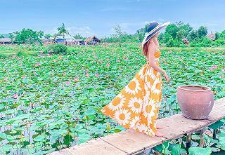CHECKIN HỒ SEN TAM ĐA RỰC RỠ 🌷 - ảnh 2 checkin ho sen tam da ruc ro 🌷 - anh 2