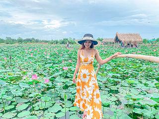 CHECKIN HỒ SEN TAM ĐA RỰC RỠ 🌷 - ảnh 6 checkin ho sen tam da ruc ro 🌷 - anh 6
