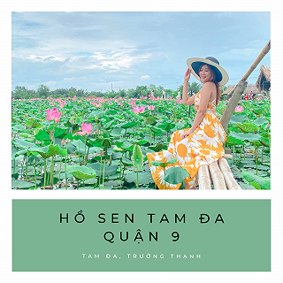 CHECKIN HỒ SEN TAM ĐA RỰC RỠ 🌷 - ảnh 1 checkin ho sen tam da ruc ro 🌷 - anh 1