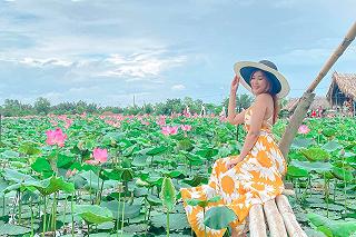 CHECKIN HỒ SEN TAM ĐA RỰC RỠ 🌷 - ảnh 3 checkin ho sen tam da ruc ro 🌷 - anh 3