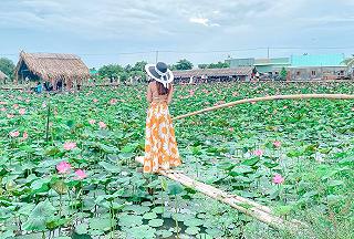 CHECKIN HỒ SEN TAM ĐA RỰC RỠ 🌷 - ảnh 4 checkin ho sen tam da ruc ro 🌷 - anh 4