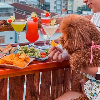 “Lang thang" hái được cả ánh trăng về cho người si tình - ảnh 1 “lang thang" hai duoc ca anh trang ve cho nguoi si tinh - anh 1