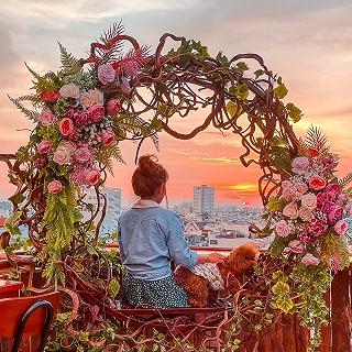 “Lang thang" hái được cả ánh trăng về cho người si tình - ảnh 2 “lang thang" hai duoc ca anh trang ve cho nguoi si tinh - anh 2