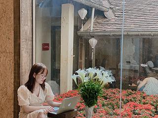 𝓓𝓪𝓫𝓪𝓸 𝓒𝓸𝓷𝓬𝓮𝓹𝓽 🌿 - ảnh 3 𝓓𝓪𝓫𝓪𝓸 𝓒𝓸𝓷𝓬𝓮𝓹𝓽 🌿 - anh 3