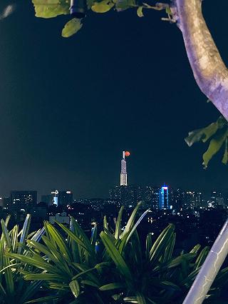 Cà Phê Cây Xanh Trên Cao Tại Phú Nhuận - ảnh 1 ca phe cay xanh tren cao tai phu nhuan - anh 1