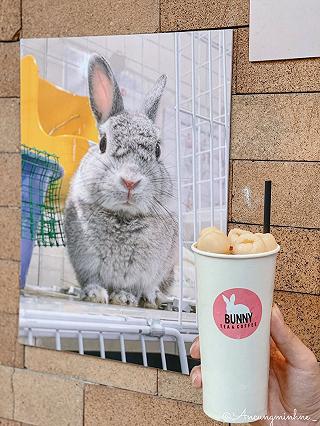 💥 “ĐỘT KÍCH” QUA NHÀ “BUNNY” HẸN HÒ VỚI NHỮNG BÉ THỎ BÉO Ú DỄ HUÔNG SIÊU CẤP ZŨ TRỤ 😝 💥 - ảnh 5 💥 “dot kich” qua nha “bunny” hen ho voi nhung be tho beo u de huong sieu cap zu tru 😝 💥 - anh 5