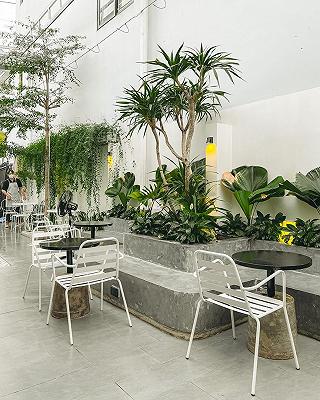 DORYO CAFE & TEA - ảnh 4 doryo cafe & tea - anh 4