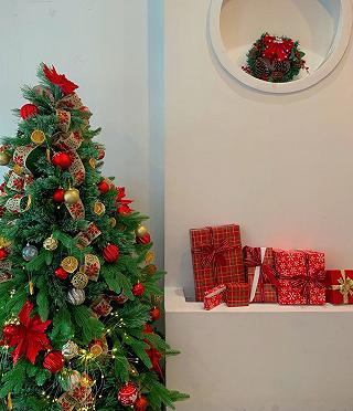 Chasu coffee *Christmas is coming* - ảnh 2 chasu coffee *christmas is coming* - anh 2