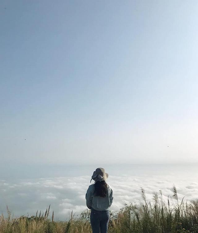 Riviu riviu