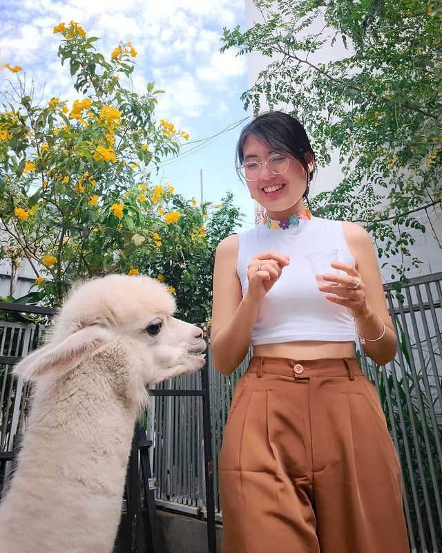 Ngồi hoài không chán với 7 quán cà phê cún cưng đáng yêu hết nấc tại Sài Gòn - ảnh 11 ngoi hoai khong chan voi 7 quan ca phe cun cung dang yeu het nac tai sai gon - anh 11