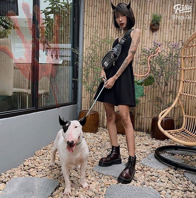 Ngồi hoài không chán với 7 quán cà phê cún cưng đáng yêu hết nấc tại Sài Gòn - ảnh 6 ngoi hoai khong chan voi 7 quan ca phe cun cung dang yeu het nac tai sai gon - anh 6