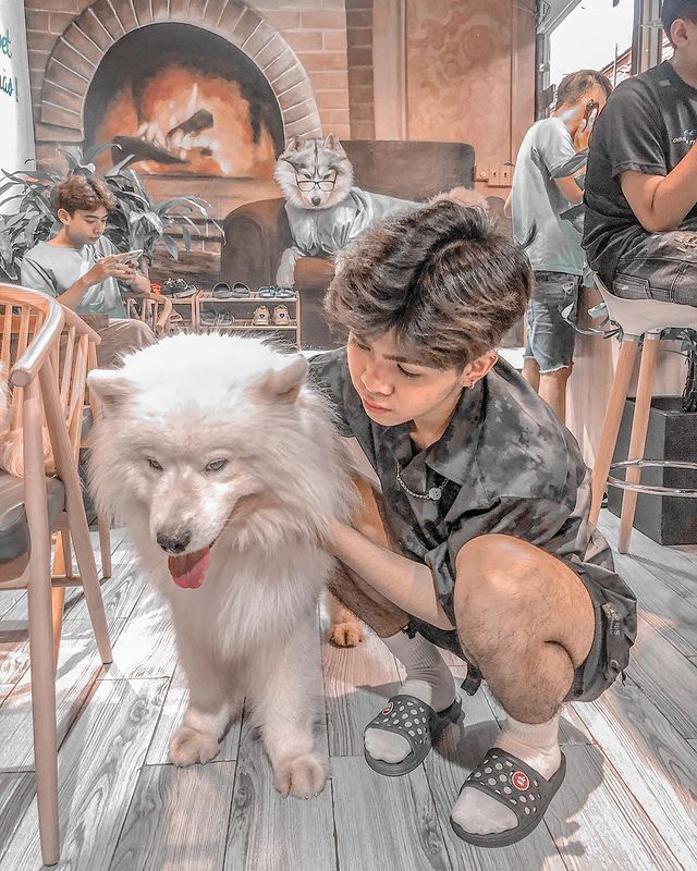 Ngồi hoài không chán với 7 quán cà phê cún cưng đáng yêu hết nấc tại Sài Gòn - ảnh 21 ngoi hoai khong chan voi 7 quan ca phe cun cung dang yeu het nac tai sai gon - anh 21