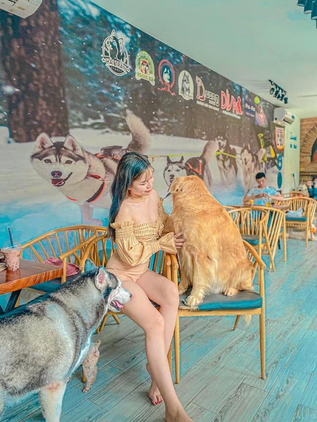 Ngồi hoài không chán với 7 quán cà phê cún cưng đáng yêu hết nấc tại Sài Gòn - ảnh 18 ngoi hoai khong chan voi 7 quan ca phe cun cung dang yeu het nac tai sai gon - anh 18