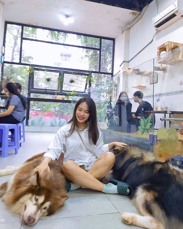 Ngồi hoài không chán với 7 quán cà phê cún cưng đáng yêu hết nấc tại Sài Gòn - ảnh 4 ngoi hoai khong chan voi 7 quan ca phe cun cung dang yeu het nac tai sai gon - anh 4
