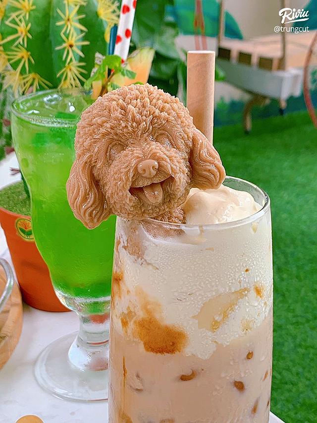 Ngồi hoài không chán với 7 quán cà phê cún cưng đáng yêu hết nấc tại Sài Gòn - ảnh 17 ngoi hoai khong chan voi 7 quan ca phe cun cung dang yeu het nac tai sai gon - anh 17