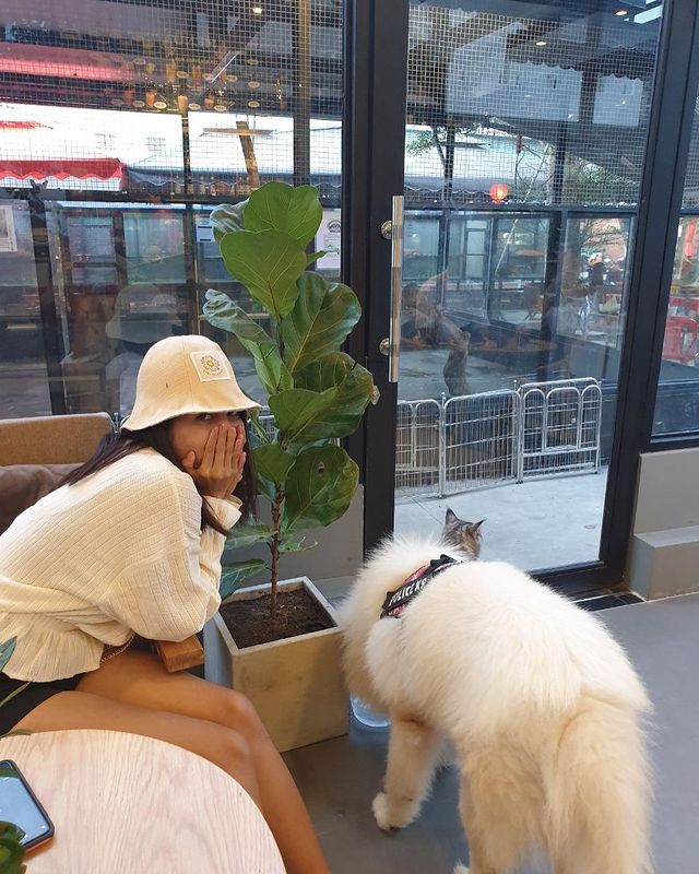 Ngồi hoài không chán với 7 quán cà phê cún cưng đáng yêu hết nấc tại Sài Gòn - ảnh 7 ngoi hoai khong chan voi 7 quan ca phe cun cung dang yeu het nac tai sai gon - anh 7