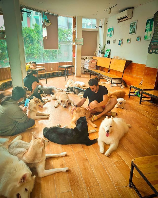 Ngồi hoài không chán với 7 quán cà phê cún cưng đáng yêu hết nấc tại Sài Gòn - ảnh 23 ngoi hoai khong chan voi 7 quan ca phe cun cung dang yeu het nac tai sai gon - anh 23