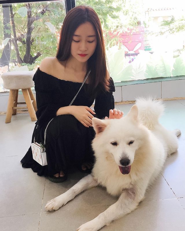 Ngồi hoài không chán với 7 quán cà phê cún cưng đáng yêu hết nấc tại Sài Gòn - ảnh 3 ngoi hoai khong chan voi 7 quan ca phe cun cung dang yeu het nac tai sai gon - anh 3