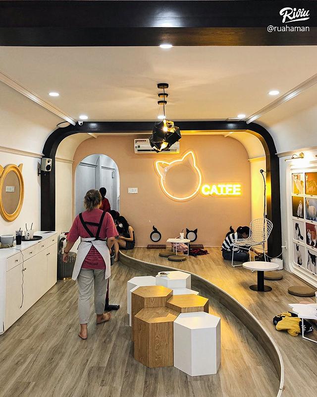 Ngồi hoài không chán với 7 quán cà phê cún cưng đáng yêu hết nấc tại Sài Gòn - ảnh 31 ngoi hoai khong chan voi 7 quan ca phe cun cung dang yeu het nac tai sai gon - anh 31