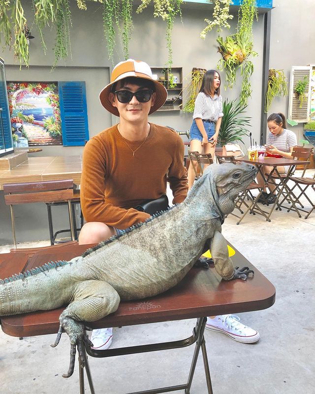 Ngồi hoài không chán với 7 quán cà phê cún cưng đáng yêu hết nấc tại Sài Gòn - ảnh 9 ngoi hoai khong chan voi 7 quan ca phe cun cung dang yeu het nac tai sai gon - anh 9