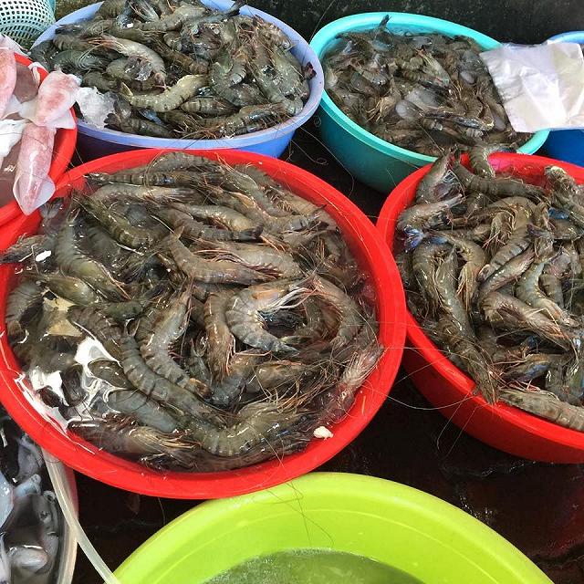 Chợ Bến Đình - khu chợ hải sản tươi ngon giá rẻ ở Vũng Tàu chỉ dân 'nằm vùng' mới biết - ảnh 3 cho ben dinh - khu cho hai san tuoi ngon gia re o vung tau chi dan "nam vung" moi biet - anh 3
