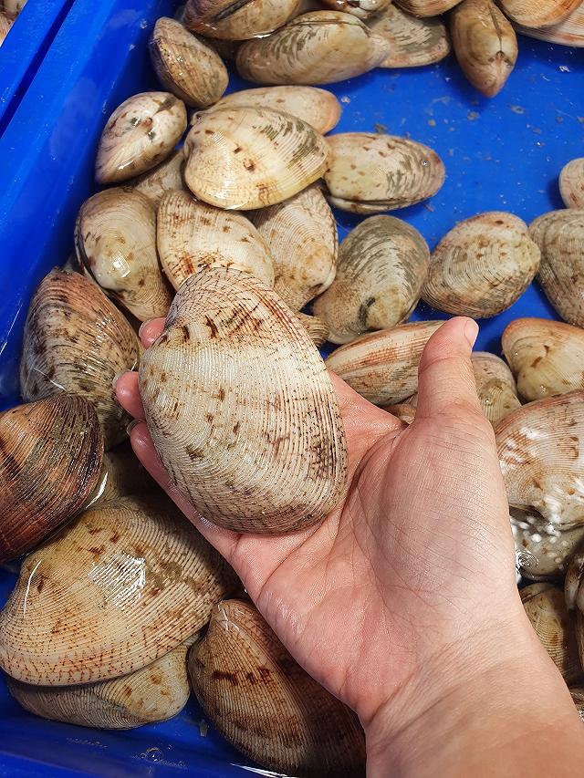 Chợ Bến Đình - khu chợ hải sản tươi ngon giá rẻ ở Vũng Tàu chỉ dân 'nằm vùng' mới biết - ảnh 7 cho ben dinh - khu cho hai san tuoi ngon gia re o vung tau chi dan "nam vung" moi biet - anh 7