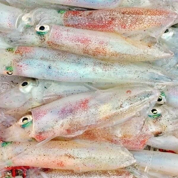 Chợ Bến Đình - khu chợ hải sản tươi ngon giá rẻ ở Vũng Tàu chỉ dân 'nằm vùng' mới biết - ảnh 13 cho ben dinh - khu cho hai san tuoi ngon gia re o vung tau chi dan "nam vung" moi biet - anh 13