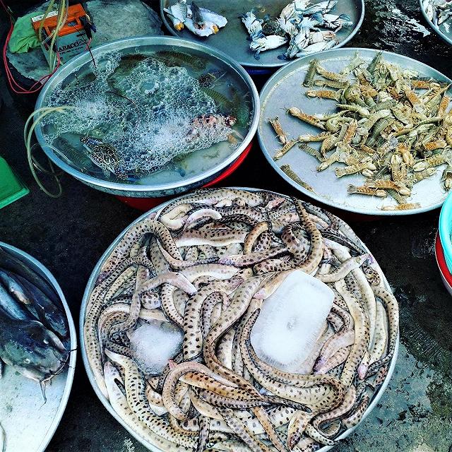 Chợ Bến Đình - khu chợ hải sản tươi ngon giá rẻ ở Vũng Tàu chỉ dân 'nằm vùng' mới biết - ảnh 4 cho ben dinh - khu cho hai san tuoi ngon gia re o vung tau chi dan "nam vung" moi biet - anh 4