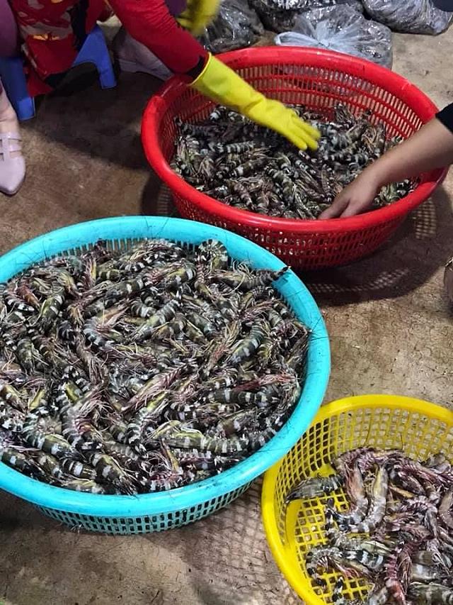 Chợ Bến Đình - khu chợ hải sản tươi ngon giá rẻ ở Vũng Tàu chỉ dân 'nằm vùng' mới biết - ảnh 16 cho ben dinh - khu cho hai san tuoi ngon gia re o vung tau chi dan "nam vung" moi biet - anh 16