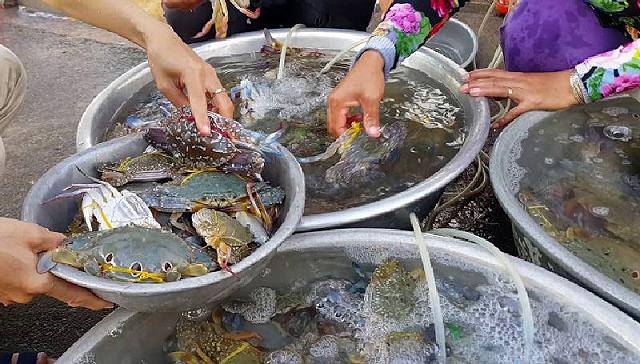 Chợ Bến Đình - khu chợ hải sản tươi ngon giá rẻ ở Vũng Tàu chỉ dân 'nằm vùng' mới biết - ảnh 6 cho ben dinh - khu cho hai san tuoi ngon gia re o vung tau chi dan "nam vung" moi biet - anh 6