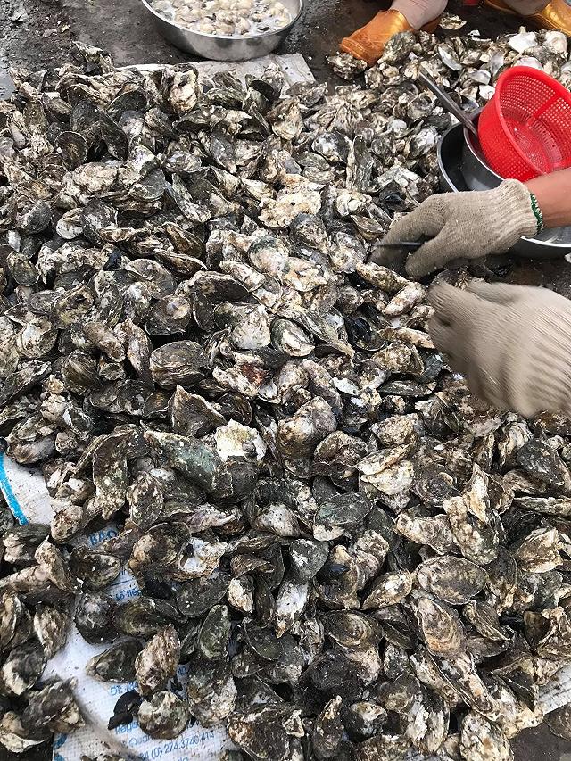 Chợ Bến Đình - khu chợ hải sản tươi ngon giá rẻ ở Vũng Tàu chỉ dân 'nằm vùng' mới biết - ảnh 12 cho ben dinh - khu cho hai san tuoi ngon gia re o vung tau chi dan "nam vung" moi biet - anh 12