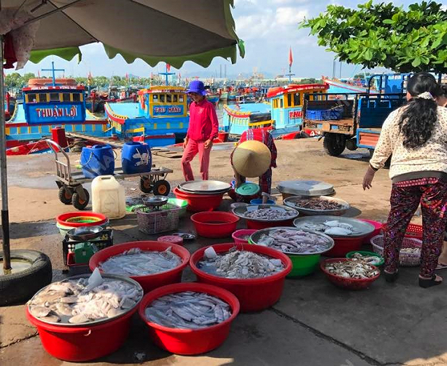 Chợ Bến Đình - khu chợ hải sản tươi ngon giá rẻ ở Vũng Tàu chỉ dân 'nằm vùng' mới biết - ảnh 1 cho ben dinh - khu cho hai san tuoi ngon gia re o vung tau chi dan "nam vung" moi biet - anh 1