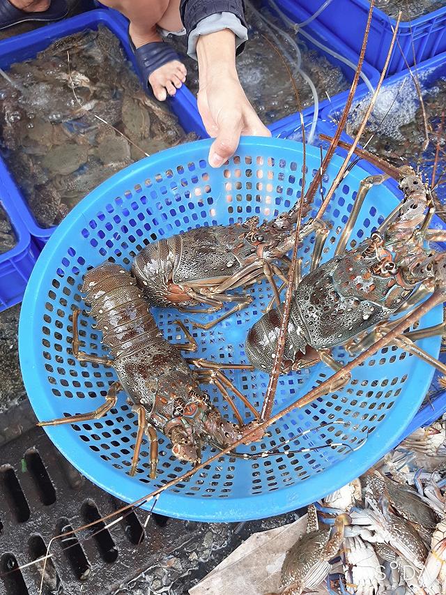 Chợ Bến Đình - khu chợ hải sản tươi ngon giá rẻ ở Vũng Tàu chỉ dân 'nằm vùng' mới biết - ảnh 15 cho ben dinh - khu cho hai san tuoi ngon gia re o vung tau chi dan "nam vung" moi biet - anh 15