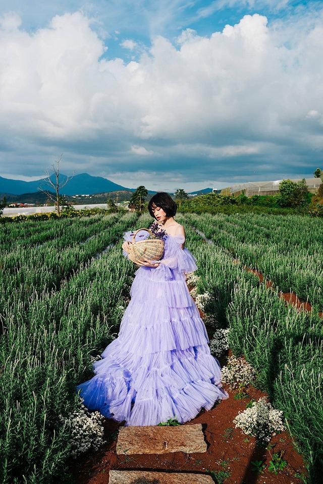  xuất hieôn cánh dồng hoa lavender tím ngắt lớn nhất dà laot, sống ảo bao xuất sắc - anh 18