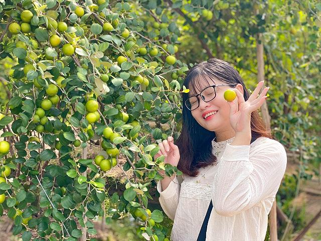 Cầm theo bịch muối ngon đi 'vườn táo toàn size khủng' tự tay hái ăn no mệt nghỉ chỉ 50k/người - ảnh 16 cam theo bich muoi ngon di "vuon tao toan size khung" tu tay hai an no met nghi chi 50k/nguoi - anh 16