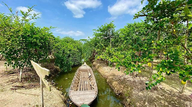 Cầm theo bịch muối ngon đi 'vườn táo toàn size khủng' tự tay hái ăn no mệt nghỉ chỉ 50k/người - ảnh 13 cam theo bich muoi ngon di "vuon tao toan size khung" tu tay hai an no met nghi chi 50k/nguoi - anh 13