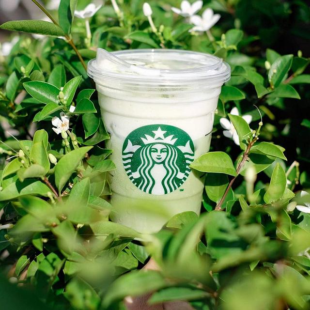 nhanh chan rinh ngay starbucks uu dai dac biet dong green tea chi 1 ngay duy nhat - anh 12