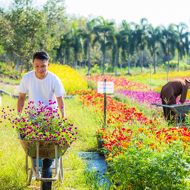 ngo lac den mua xuan han quoc tai "ngoi chua phu kin hoa anh dao" cuc gan sai gon - anh 25