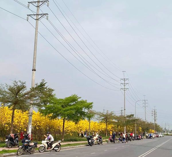 lac giua vuon hoa phong linh dep hut hon nhu chon co tich - anh 6