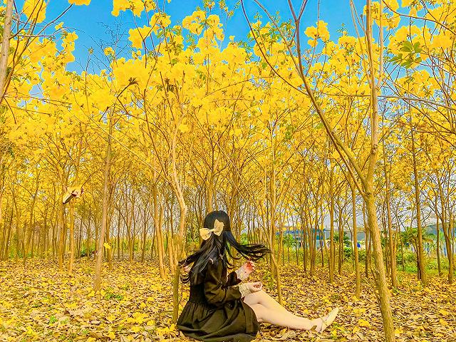 lac giua vuon hoa phong linh dep hut hon nhu chon co tich - anh 5