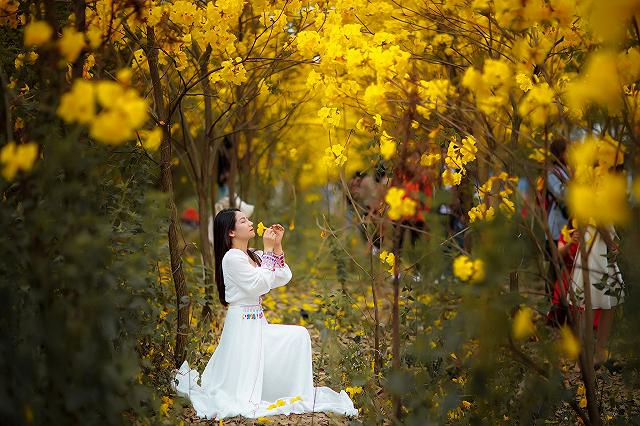 lac giua vuon hoa phong linh dep hut hon nhu chon co tich - anh 4